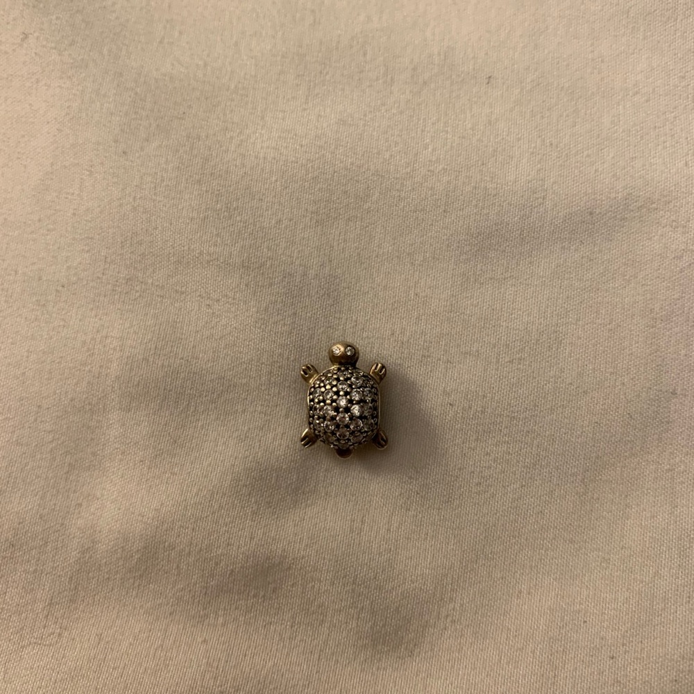 Turtle Pandora Charm